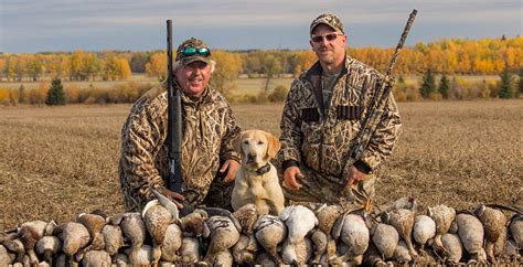 bird hunter queens|Birdhunter .